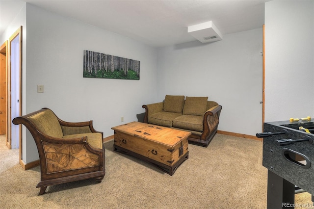 1167 Mountain View Dr, Fairplay, CO 80440 - photo 29