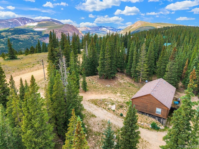 1167 Mountain View Dr, Fairplay, CO 80440 - photo 40