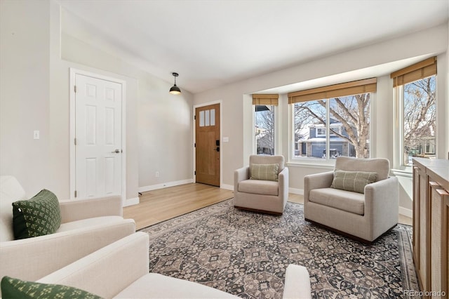 living room with vaulted ceiling and wood-type flooring