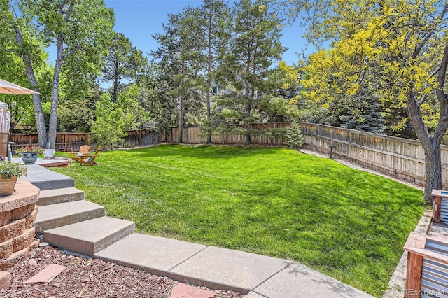9743 Chanteclair Cir, Highlands Ranch, CO 80126 - view of yard