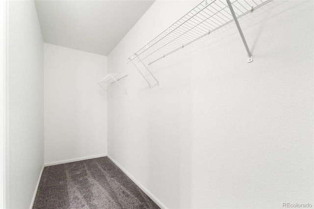 spacious closet featuring dark colored carpet