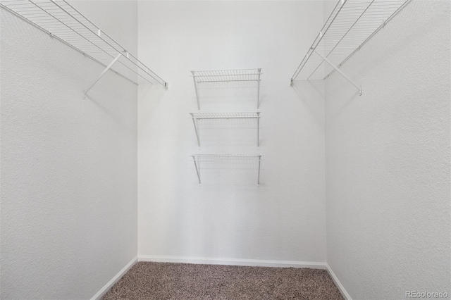 9142 Lodestar Ln Unit 305, Parker, CO 80134 - spacious closet featuring carpet flooring