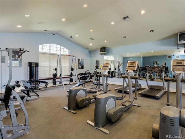 9142 Lodestar Ln Unit 305, Parker, CO 80134 - workout area with lofted ceiling and recessed lighting