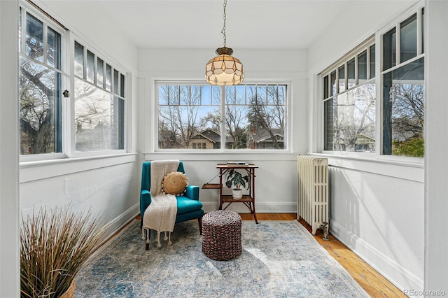 618 Adams St, Denver, CO 80206 - sunroom with radiator heating unit, wood finished floors, and baseboards