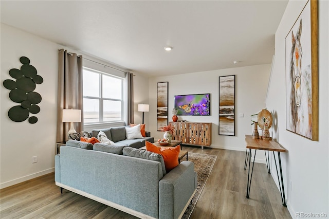 living room with hardwood / wood-style flooring