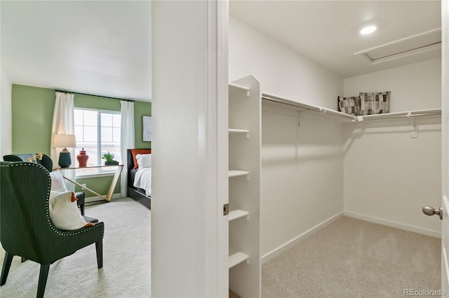 walk in closet with light colored carpet