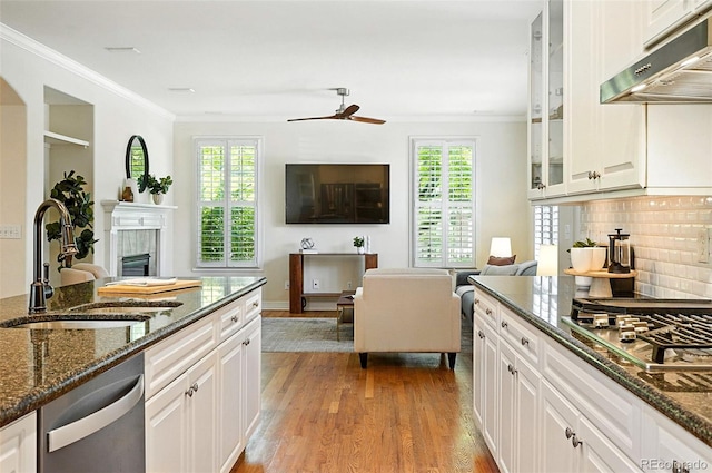 7527 E Severn Pl, Denver, CO 80230 - kitchen featuring under cabinet range hood, appliances with stainless steel finishes, wood finished floors, a ceiling fan, and a tiled fireplace