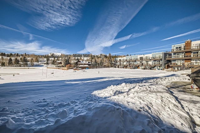 view of yard covered in snow