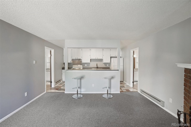 1118 City Park Ave Unit 226, Fort Collins, CO 80521 - kitchen featuring baseboard heating, freestanding refrigerator, a sink, white cabinets, and a textured ceiling