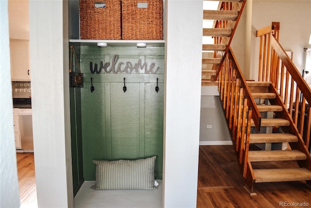 mudroom featuring dark hardwood / wood-style flooring