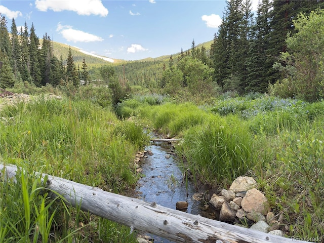 LOT7 Brook Dr, Idaho Springs, CO 80452 - photo 3