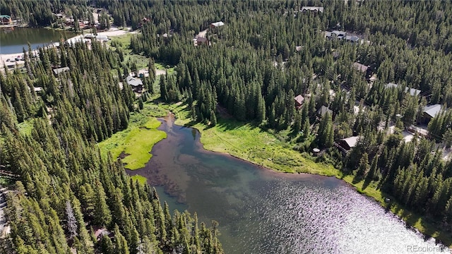 LOT7 Brook Dr, Idaho Springs, CO 80452 - photo 4