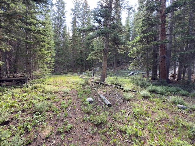 LOT7 Brook Dr, Idaho Springs, CO 80452 - photo 5