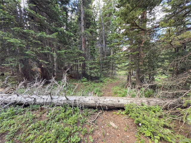 LOT7 Brook Dr, Idaho Springs, CO 80452 - photo 6
