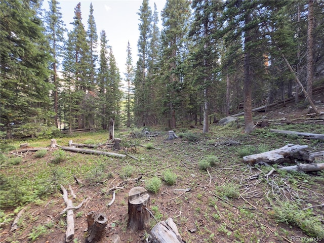 LOT7 Brook Dr, Idaho Springs, CO 80452 - photo 7