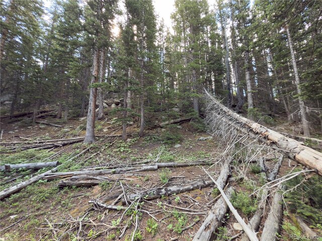 LOT7 Brook Dr, Idaho Springs, CO 80452 - photo 8