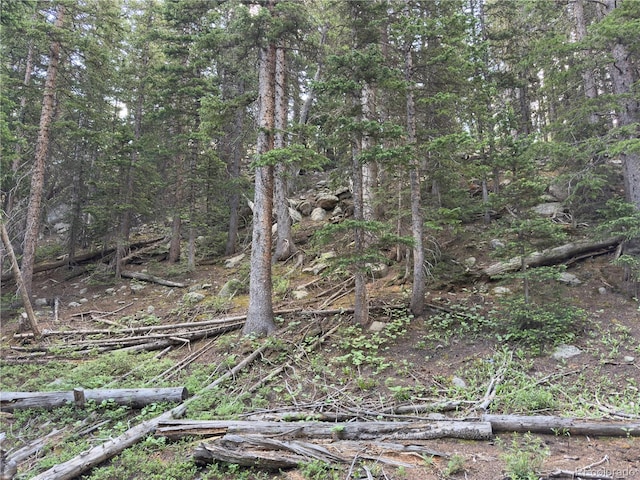 LOT7 Brook Dr, Idaho Springs, CO 80452 - photo 9