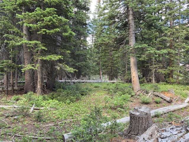 LOT7 Brook Dr, Idaho Springs, CO 80452 - photo 10
