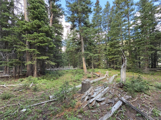 LOT7 Brook Dr, Idaho Springs, CO 80452 - photo 11