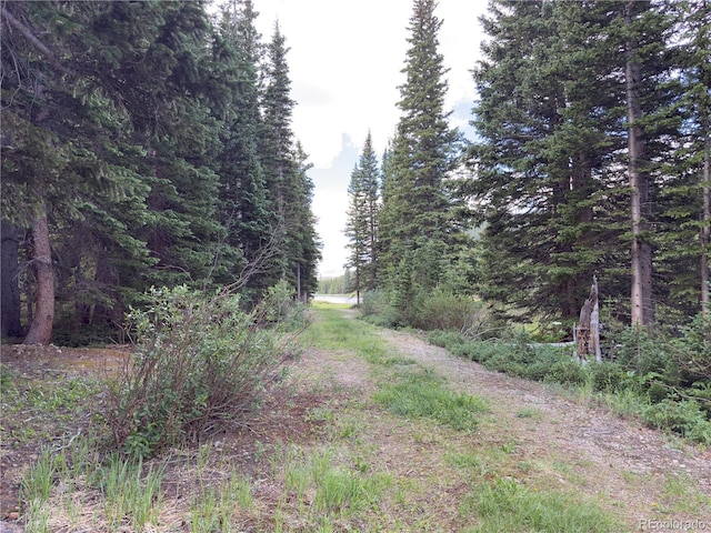 LOT7 Brook Dr, Idaho Springs, CO 80452 - photo 12