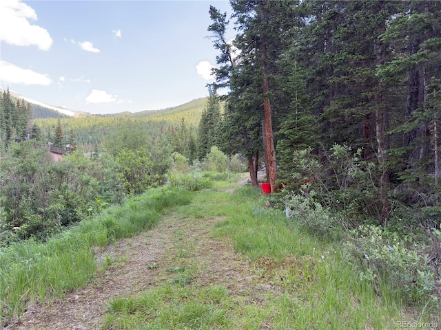 LOT7 Brook Dr, Idaho Springs, CO 80452 - photo 13