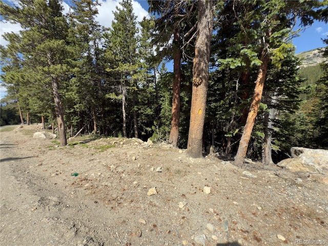 LOT7 Brook Dr, Idaho Springs, CO 80452 - photo 15