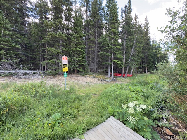 LOT7 Brook Dr, Idaho Springs, CO 80452 - photo 16