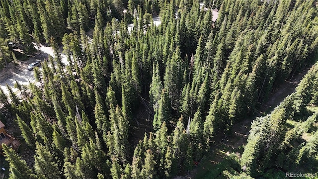 LOT7 Brook Dr, Idaho Springs, CO 80452 - photo 17