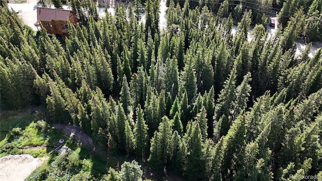 LOT7 Brook Dr, Idaho Springs, CO 80452 - photo 18