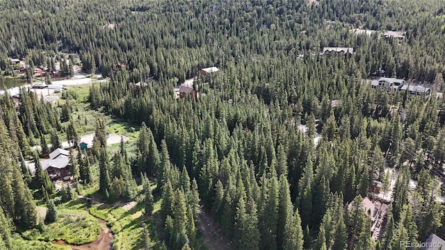 LOT7 Brook Dr, Idaho Springs, CO 80452 - photo 20