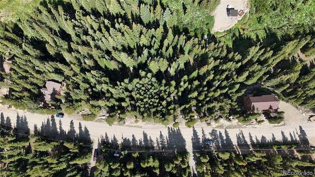 LOT7 Brook Dr, Idaho Springs, CO 80452 - photo 21