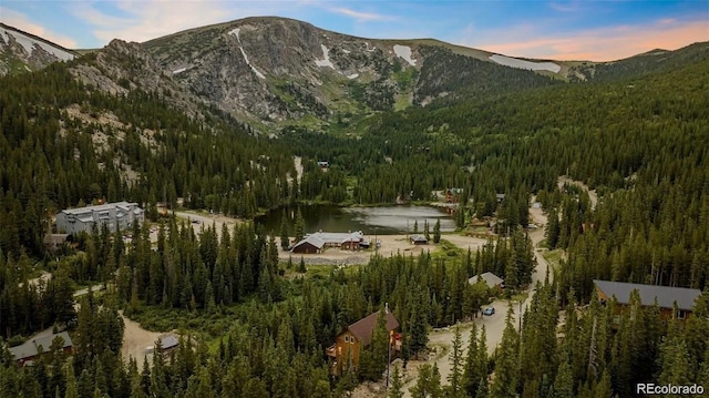 LOT7 Brook Dr, Idaho Springs, CO 80452 - photo 1