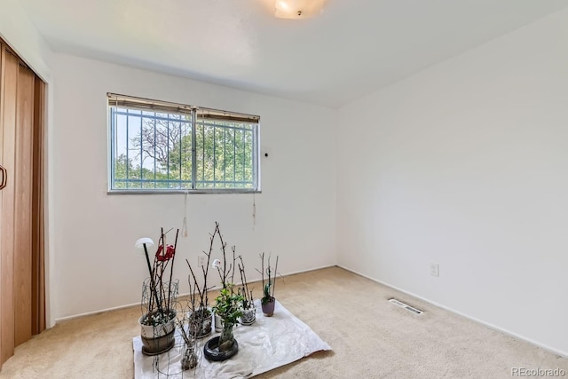 misc room with visible vents and carpet