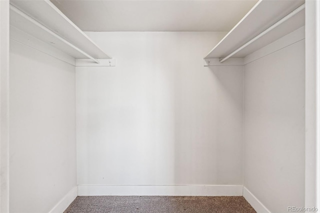 spacious closet with carpet floors