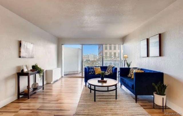 living area with baseboards and light wood-style floors