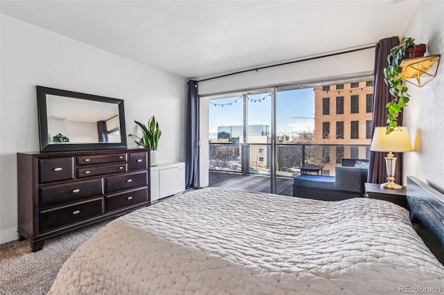 888 N Logan St Unit 5A, Denver, CO 80203 - bedroom with access to outside and carpet