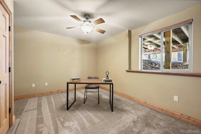 1300 W Midland Ave, Woodland Park, CO 80863 - photo 29