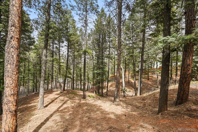 1300 W Midland Ave, Woodland Park, CO 80863 - photo 40