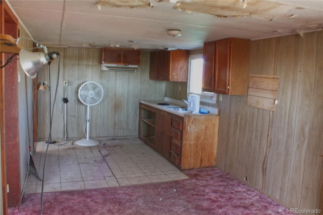 kitchen featuring sink and wooden walls