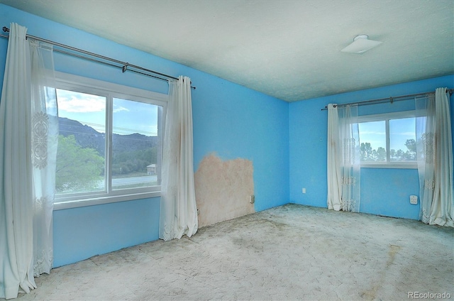 35805 US Highway 24, Buena Vista, CO 81211 - carpeted spare room with healthy amount of natural light