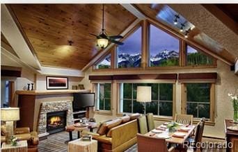567 Mountain Village Blvd Unit 204, Mountain Village, CO 81435 - photo 3