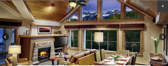 567 Mountain Village Blvd Unit 204, Mountain Village, CO 81435 - photo 4