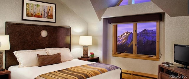 567 Mountain Village Blvd Unit 204, Mountain Village, CO 81435 - photo 5