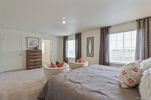 4754 Hatcher Dr, Brighton, CO 80601 - photo 19
