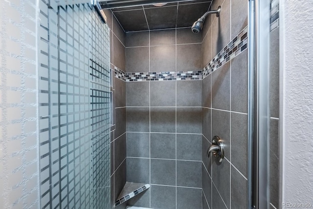bathroom featuring a shower stall