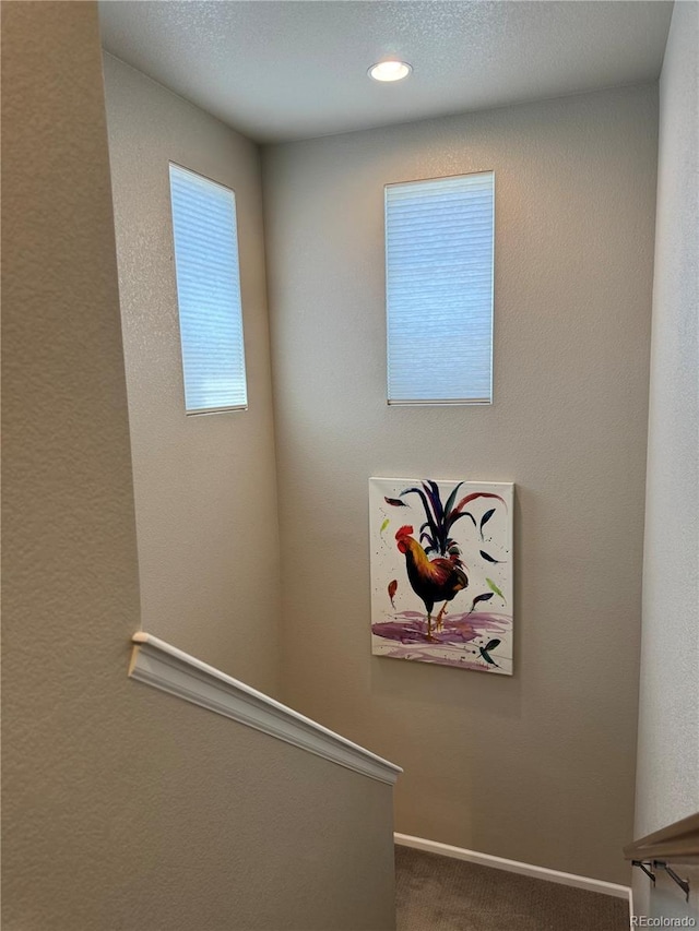 11235 S Neu Towne Cir, Parker, CO 80134 - detailed view of carpet floors and recessed lighting