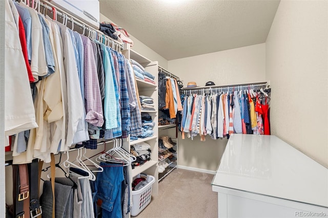 11235 S Neu Towne Cir, Parker, CO 80134 - spacious closet with light carpet