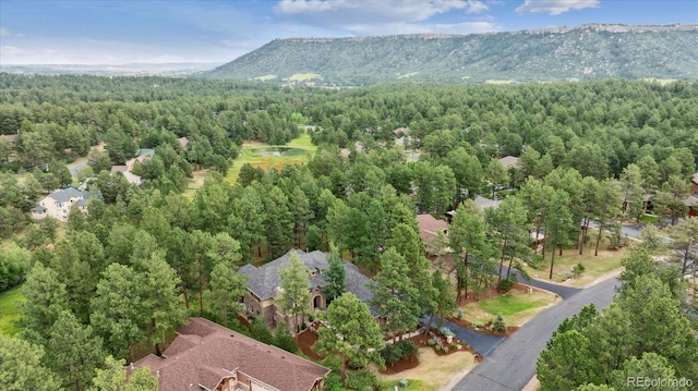 679 Cumberland Rd, Larkspur, CO 80118 - photo 49