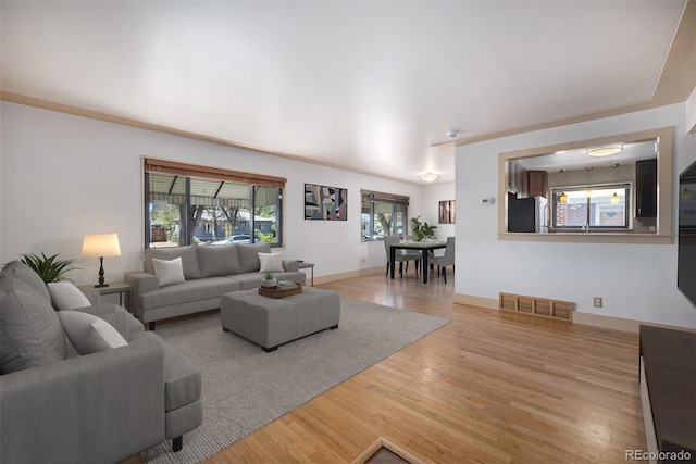 living area with baseboards, visible vents, and light wood-style floors