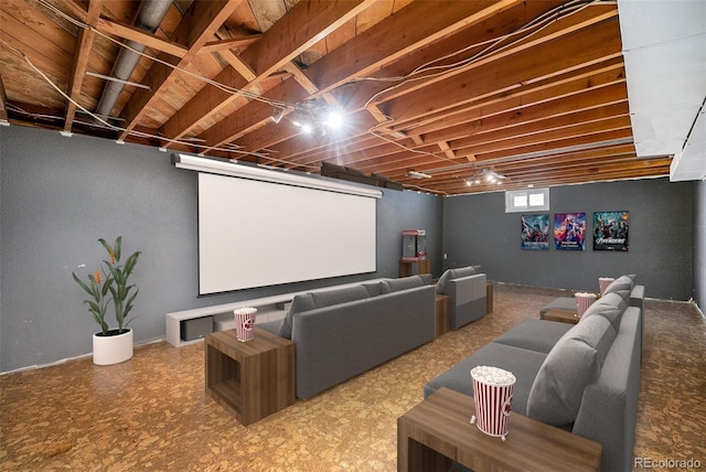 view of cinema room